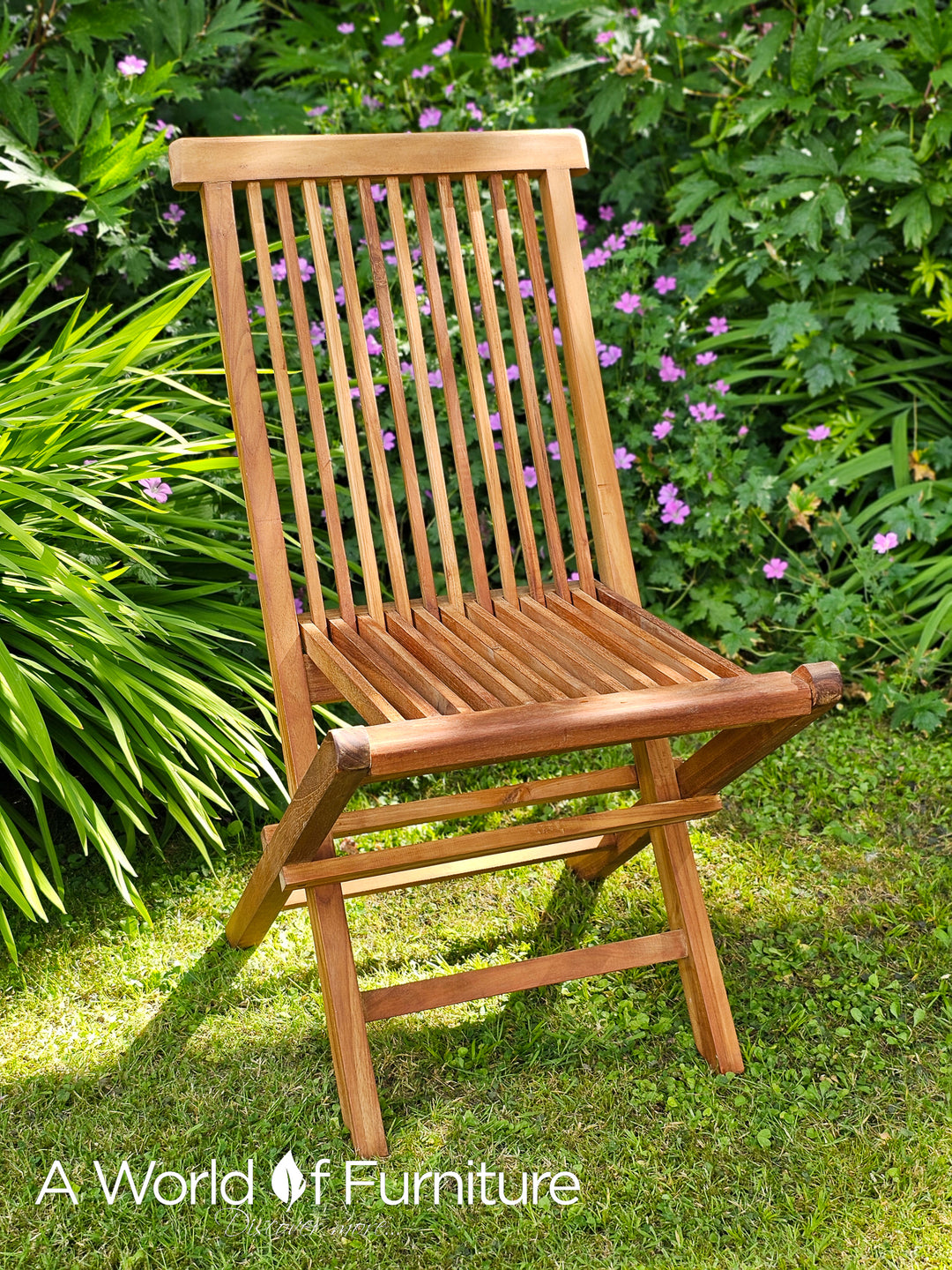 Teak folding chair online